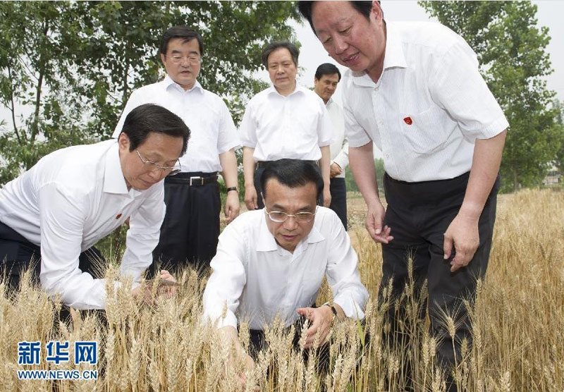 6月7日至8日，中共中央政治局常委、國(guó)務(wù)院總理李克強(qiáng)到河北邯鄲、邢臺(tái)、石家莊考察。 這是6月7日，李克強(qiáng)在邯鄲縣裴堡東村查看小麥?zhǔn)粘伞Ｐ氯A社記者黃敬文攝