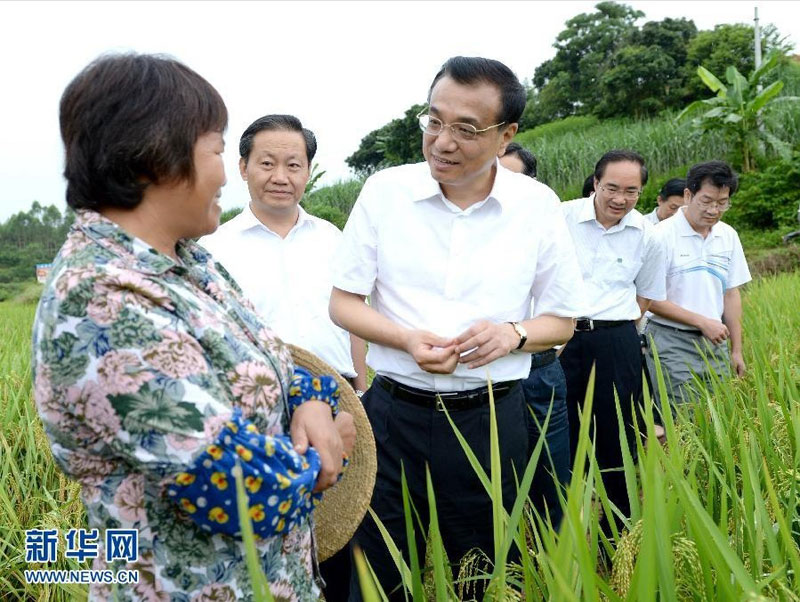 7月8日至10日，中共中央政治局常委、國務(wù)院總理李克強(qiáng)到廣西北海、欽州、南寧考察。這是7月9日，李克強(qiáng)走進(jìn)南寧沖陶村的稻田，了解田間管理、農(nóng)業(yè)技術(shù)服務(wù)和收獲保管等情況。 新華社記者馬佔(zhàn)成攝