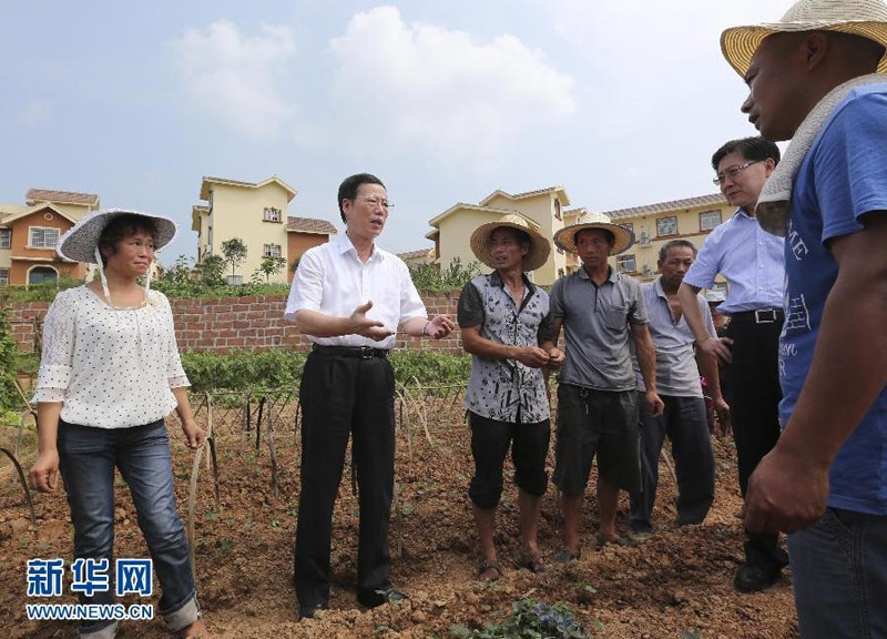 7月5日至8日，中共中央政治局常委、國務(wù)院副總理張高麗在四川調(diào)研。這是7月6日，張高麗在雙流縣南天寺村考察。 新華社記者丁林?jǐn)z