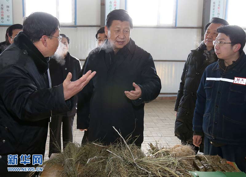 農(nóng)歷馬年春節(jié)即將到來之際，中共中央總書記、國家主席、中央軍委主席習(xí)近平近日來到內(nèi)蒙古，看望慰問各族干部群眾，向全國各族人民致以誠摯的新春祝福。這是1月27日，習(xí)近平在錫林郭勒盟毛登牧場(chǎng)飼草產(chǎn)業(yè)基地牧草顆粒加工車間，了解牧草深加工情況。新華社記者 龐興雷 攝