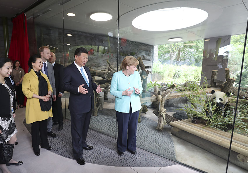 7月5日，國家主席習(xí)近平同德國總理默克爾共同出席柏林動物園大熊貓館開館儀式。這是習(xí)近平和夫人彭麗媛同默克爾在大熊貓館。 新華社記者馬佔(zhàn)成 攝