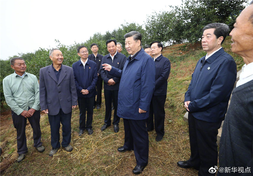 9月17日，中共中央總書記、國家主席、中央軍委主席習(xí)近平前往河南省光山縣司馬光油茶園和文殊鄉(xiāng)東岳村，考察調(diào)研當(dāng)?shù)孛撠毠怨ぷ鞒尚Ш椭修k在光山縣扶貧工作情況，看望慰問老區(qū)群眾。這是習(xí)近平在司馬光油茶園同農(nóng)民親切交流。 新華社記者 鞠鵬 攝