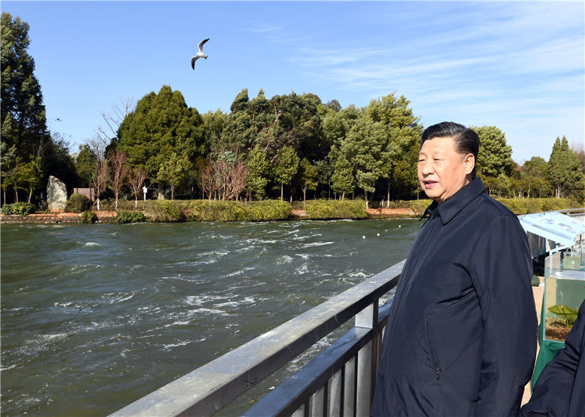 1月20日，正在雲(yún)南考察的中共中央總書記、國家主席、中央軍委主席習(xí)近平來到昆明，前往滇池星海半島生態(tài)濕地，察看滇池保護(hù)治理情況。新華社記者 謝環(huán)馳 攝