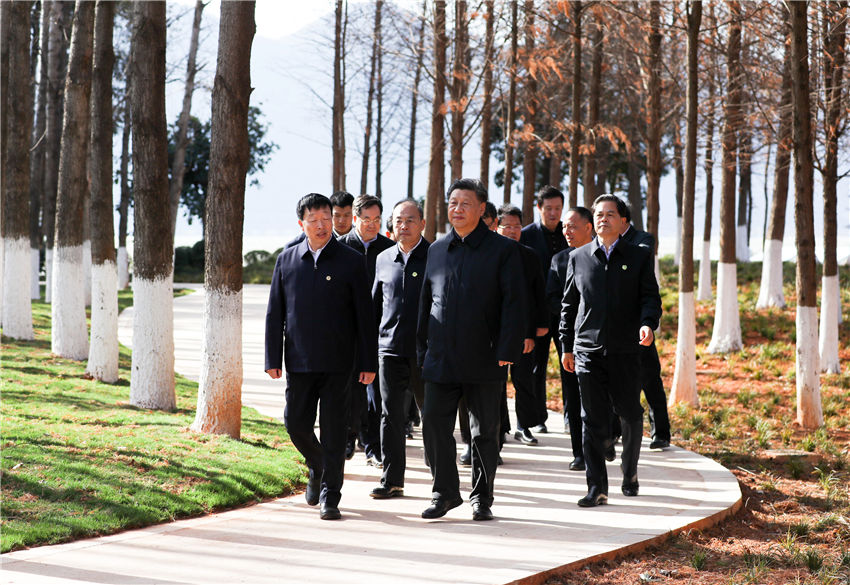 1月19日至21日，中共中央總書記、國家主席、中央軍委主席習(xí)近平來到雲(yún)南，看望慰問各族干部群眾，向全國人民致以新春祝福。這是20日下午，習(xí)近平在昆明滇池星海半島生態(tài)濕地考察調(diào)研。新華社記者 鞠鵬 攝