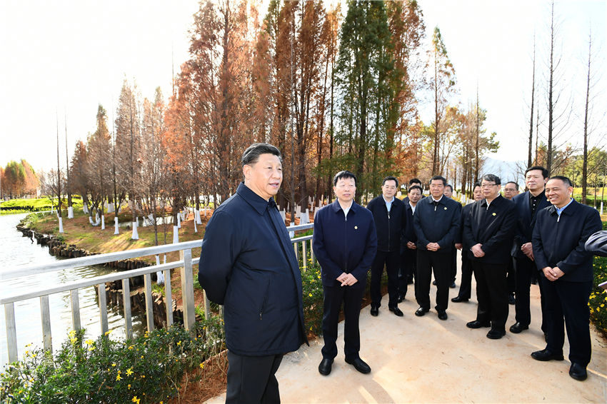 1月20日，正在雲(yún)南考察的中共中央總書記、國家主席、中央軍委主席習(xí)近平來到昆明，前往滇池星海半島生態(tài)濕地，察看滇池保護治理情況。新華社記者 謝環(huán)馳 攝