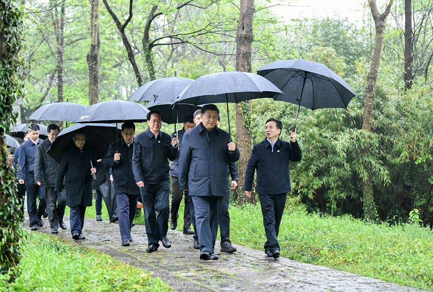 3月31日，中共中央總書記、國家主席、中央軍委主席習近平在杭州考察。這是習近平在西溪國家濕地公園就西溪濕地保護利用情況進行考察調(diào)研。 新華社記者 燕雁 攝