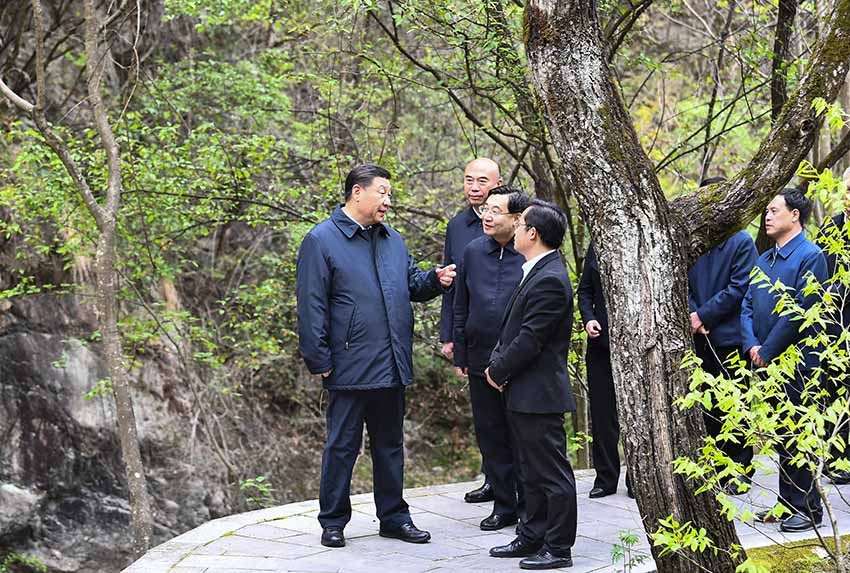 4月20日，中共中央總書記、國(guó)家主席、中央軍委主席習(xí)近平在陝西考察調(diào)研。這是習(xí)近平在位於商洛市柞水縣的秦嶺牛背梁國(guó)家級(jí)自然保護(hù)區(qū)，考察秦嶺生態(tài)保護(hù)情況。 新華社記者 謝環(huán)馳 攝