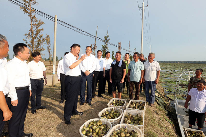 8月18日至21日，中共中央總書記、國家主席、中央軍委主席習(xí)近平在安徽省考察。這是18日下午，習(xí)近平在阜陽市阜南縣蒙窪蓄洪區(qū)，同正在採摘芡實的鄉(xiāng)親們親切交流，了解災(zāi)后生產(chǎn)恢復(fù)情況。 新華社記者 鞠鵬 攝